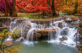 Autumn Forest Waterfall 4k Ultra HD ...