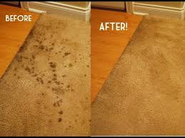 how to deoderize cleaning carpet with