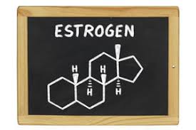 toxic estrogen causing your weight gain