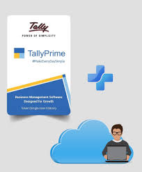 tally prime silver 1 cloud user