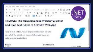 add rich text editor in asp net web