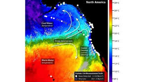 Fukushima Radiation Detected Off California Coast Iflscience