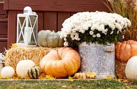 23 fall backyard party ideas for