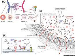 ScienceDirect.com gambar png