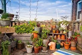 Urban Rooftop Container Garden