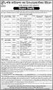 Image result for Shakti foundation job circular 2023