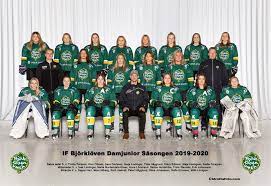 Former oswego state women's hockey captain kate randazzo has started her professional hockey career in sweden after signing with björklöven. If Bjorkloven Dam Junior Svenskalag Se