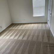 zimmerman carpet rug cleaners