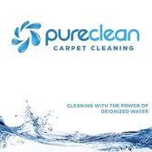 pure clean carpet cleaning carpet