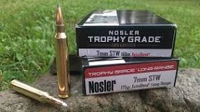 Image result for 7mm stw ammo