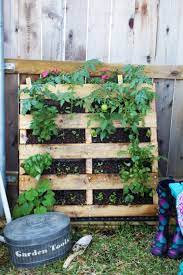 how to build a pallet garden taylor