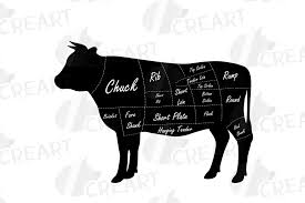 Cow Butcher Diagram Of A S Catalogue Of Schemas
