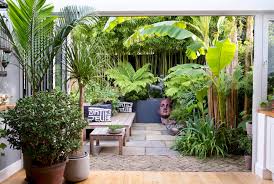 Urban Tropical Tropical Garden
