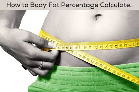 body fat percene calculator how to