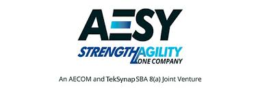 Teksynap Forms Aesy Joint Venture An