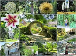 blithewold mansion gardens and