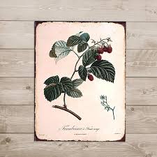 You can find all the info under the wholesale area button on the left. Barnyard Designs Vintage Botanical Raspberry Tin Sign Primitive Count Barnyard Designs Wholesale