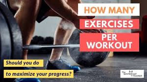 how many exercises per workout per
