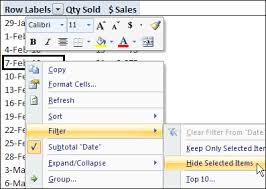 how to use excel pivot table label filters