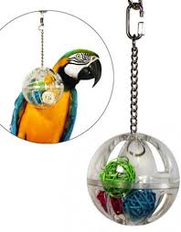 pb19007a foraging acrylic ball with