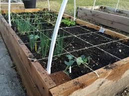 Square Foot Gardening Ideas And Tips