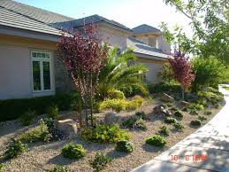 Landscaping Services In Las Vegas Wet