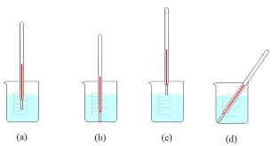 beaker with laboratory thermometer