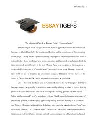Critical thinking essay meaning of life