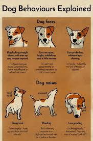 A Chart That Will Help You Finally Understand Your Dog Dog