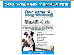 Dog Walk Flyer Omfar Mcpgroup Co