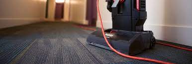 the 10 best carpet cleaning services in