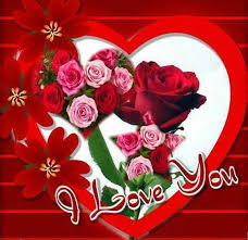 red rose i love you pictures photos