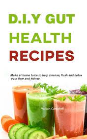 d i y gut health recipes make at home
