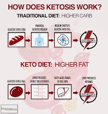 10 Critical Ketogenic Diet Tips For Best Results Drjockers Com