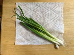 how to green onions i tried 5