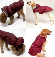 Best Dog Raincoat For Small Dogs Ideas And Get Free Shipping