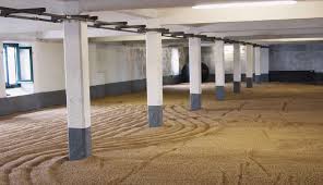 malting as part of whisky making