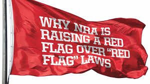 Image result for red flag laws