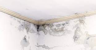 How To Prevent Water Seepage In Walls