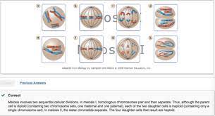 bio 212 chap 2 flashcards quizlet