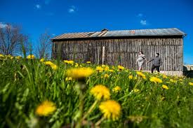 Rustic Barns And Farms Da Photography