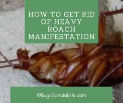 get rid of heavy roach manifestation