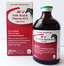 To prevent infection wash your hands before giving a b12 shot. Folic Acid Vitamin B12