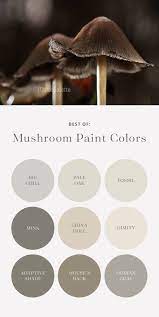 Mushroom Paint Color Palette Color