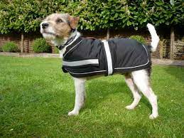 Waterproof Soft Fleece Lined Dog Coat