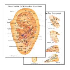 Multi Chart For Ear Hand Foot Acupuncture