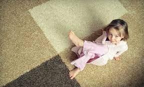 elite carpet care in raleigh durham
