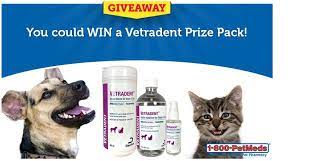 Free shipping on orders over $98. Discount Pet Meds Canada Off 74 Www Usushimd Com
