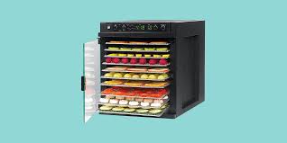 7 best food dehydrators 2023 tested