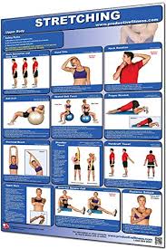 Amazon Com Productive Fitness Laminated Fitness Poster
